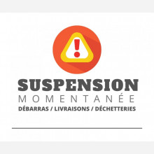 Suspension momentane